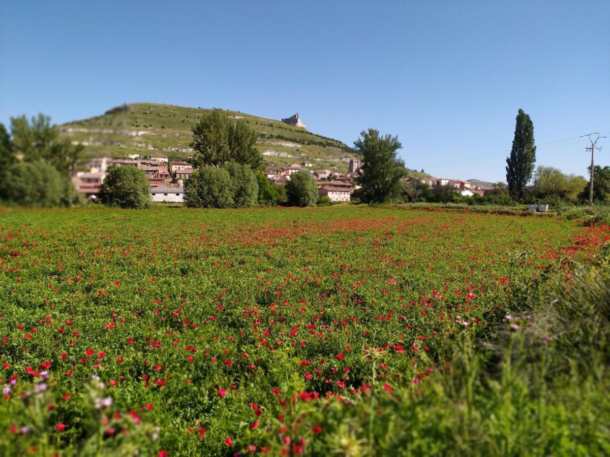بيت شباب Camino De Santiago كاستروجايرز المظهر الخارجي الصورة